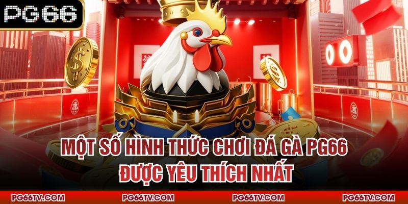 Một số hình thức chơi đá gà PG66 được yêu thích nhất