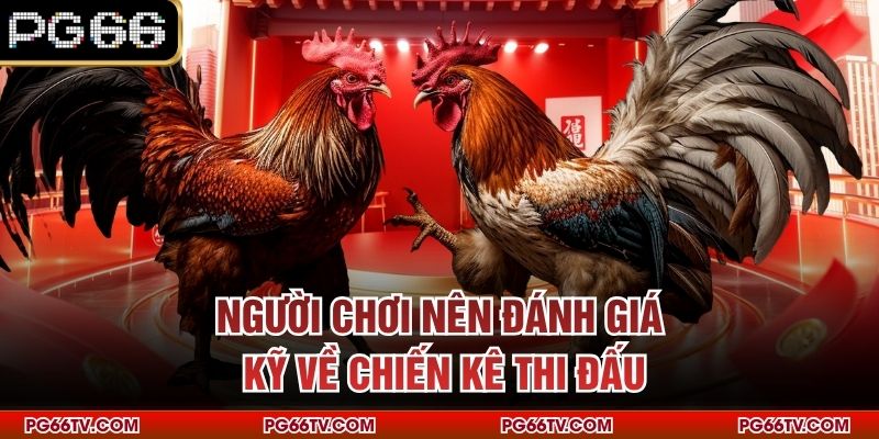 Người chơi nên đánh giá kỹ về chiến kê thi đấu 