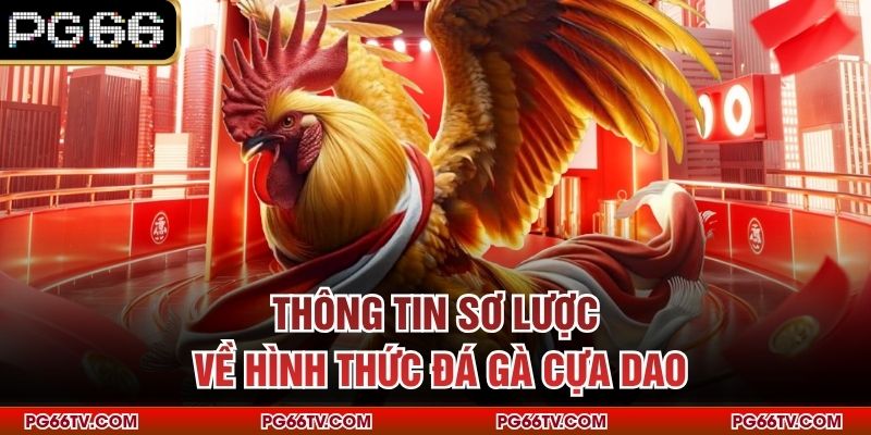 Thông tin sơ lược về hình thức đá gà cựa dao